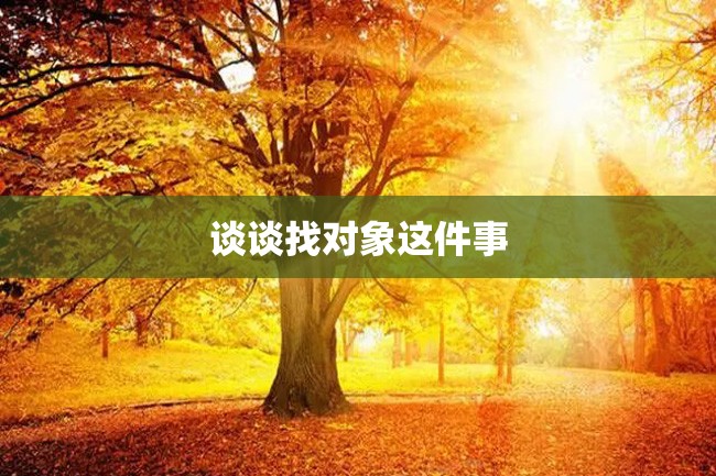 谈谈找对象这件事