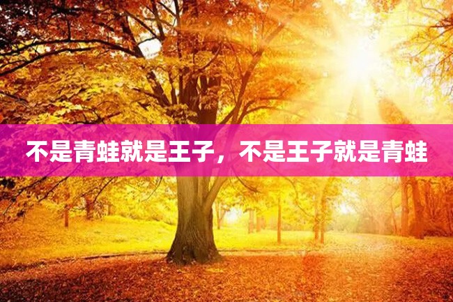 不是青蛙就是王子,不是王子就是青蛙