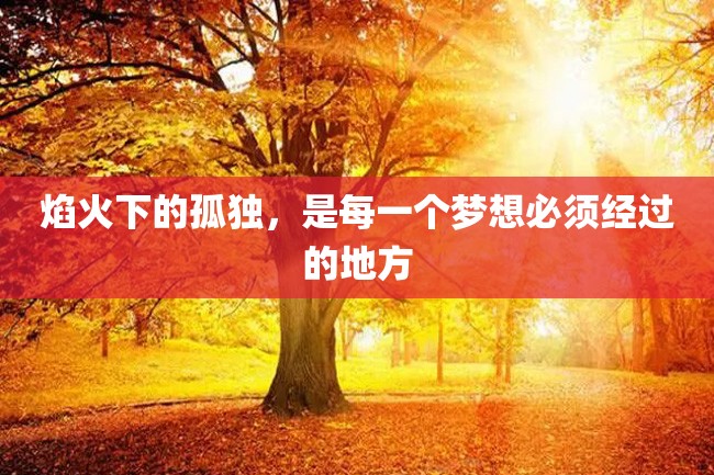 焰火下的孤独,是每一个梦想必须经过的地方