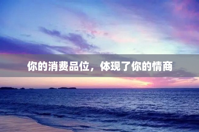 你的消费品位,体现了你的情商