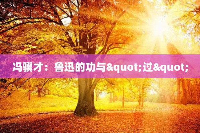 冯骥才:鲁迅的功与"过"