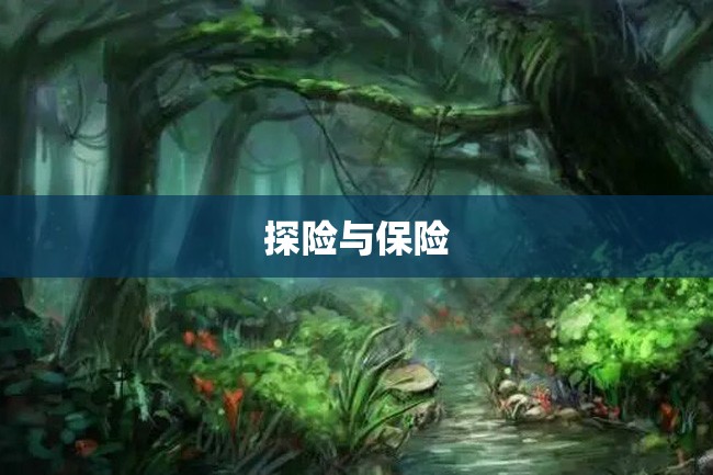 探险与保险