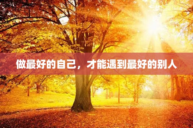 做最好的自己,才能遇到最好的别人