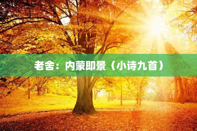 老舍:内蒙即景(小诗九首)