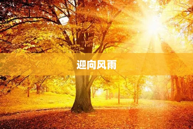 迎向风雨