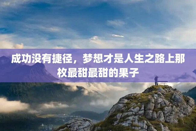 成功没有捷径,梦想才是人生之路上那枚最甜最甜的果子