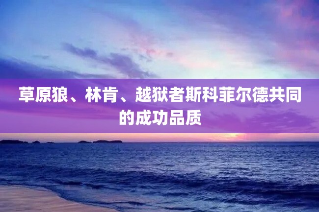 草原狼、林肯、越狱者斯科菲尔德共同的成功品质