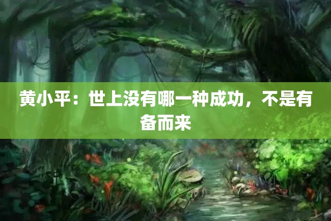 黄小平:世上没有哪一种成功,不是有备而来