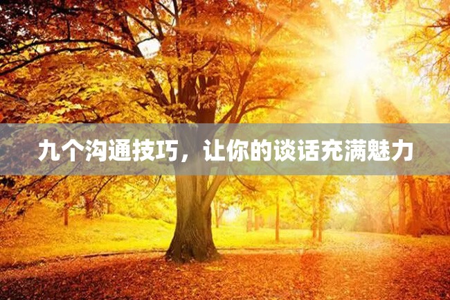 九个沟通技巧,让你的谈话充满魅力