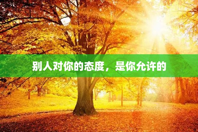 别人对你的态度,是你允许的