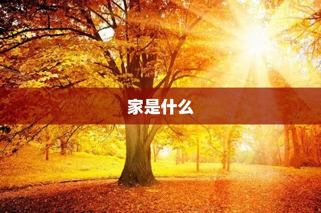 家是什么