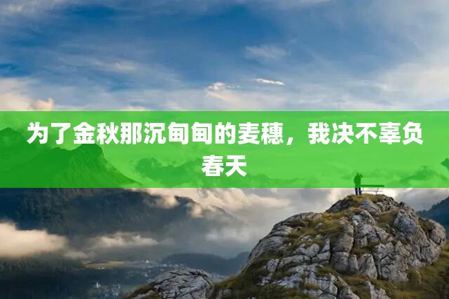 为了金秋那沉甸甸的麦穗,我决不辜负春天