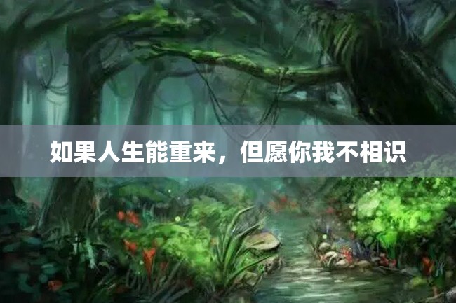 如果人生能重来,但愿你我不相识