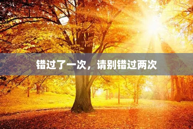 错过了一次,请别错过两次