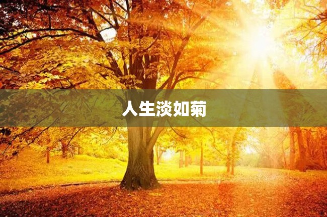 人生淡如菊