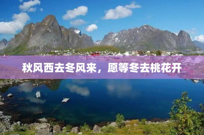 秋风西去冬风来,愿等冬去桃花开