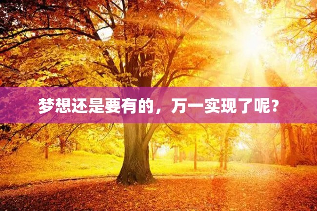 梦想还是要有的,万一实现了呢?