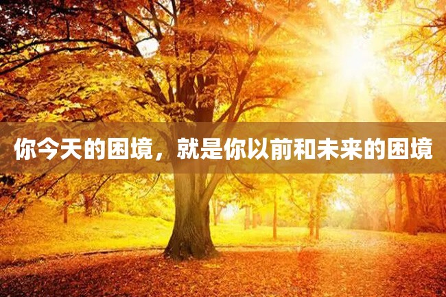 你今天的困境,就是你以前和未来的困境