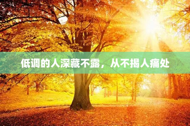 低调的人深藏不露,从不揭人痛处