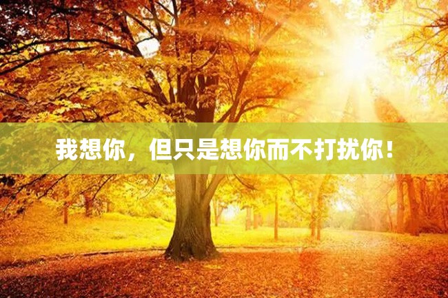 我想你,但只是想你而不打扰你!
