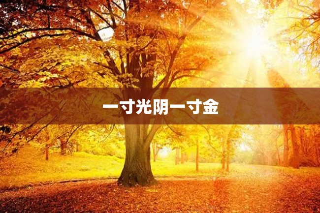 一寸光阴一寸金