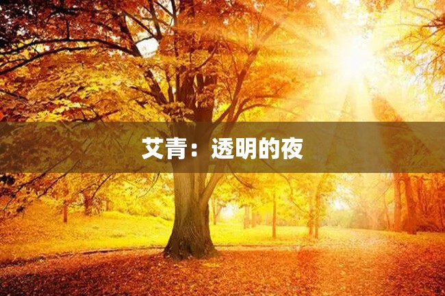 艾青:透明的夜