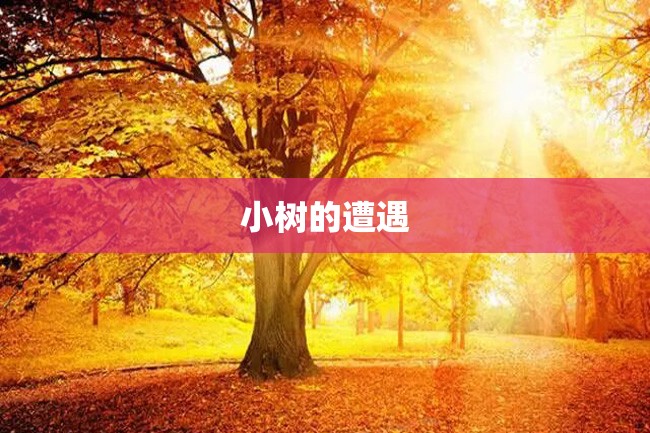 小树的遭遇