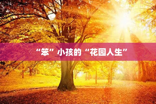 “笨”小孩的“花园人生”