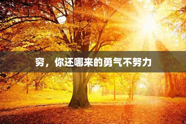 穷,你还哪来的勇气不努力