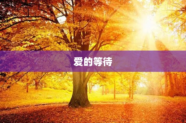 爱的等待