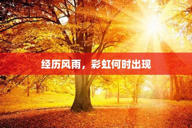经历风雨,彩虹何时出现