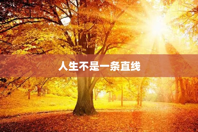 人生不是一条直线