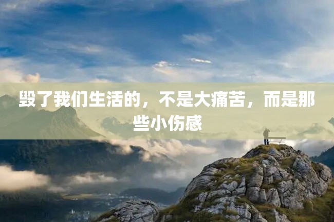 毁了我们生活的,不是大痛苦,而是那些小伤感