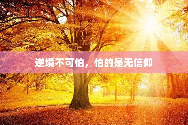 逆境不可怕,怕的是无信仰