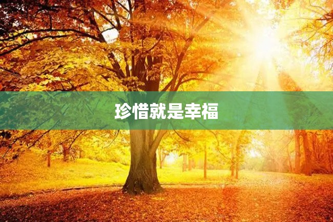 珍惜就是幸福