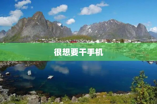 很想要干手机