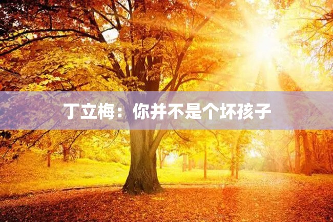 丁立梅:你并不是个坏孩子