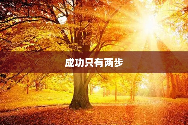 成功只有两步
