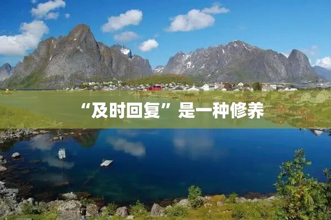 “及时回复”是一种修养