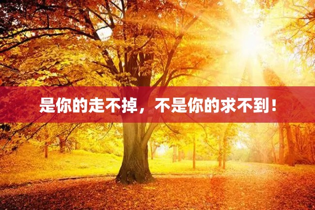 是你的走不掉,不是你的求不到!