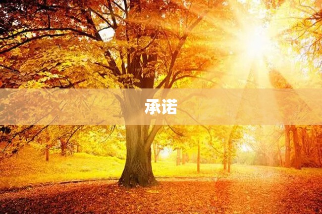 承诺