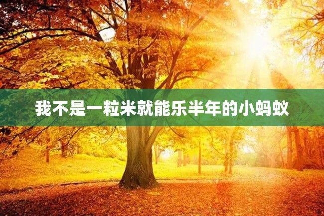 我不是一粒米就能乐半年的小蚂蚁
