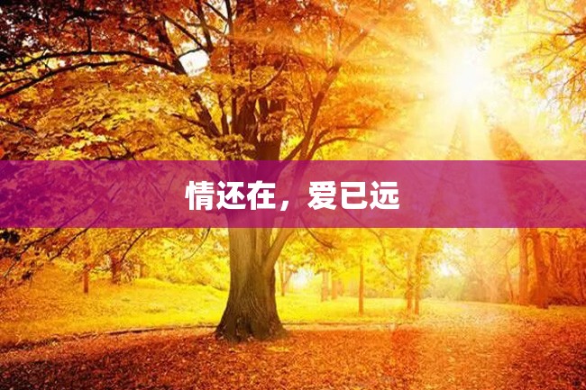 情还在,爱已远