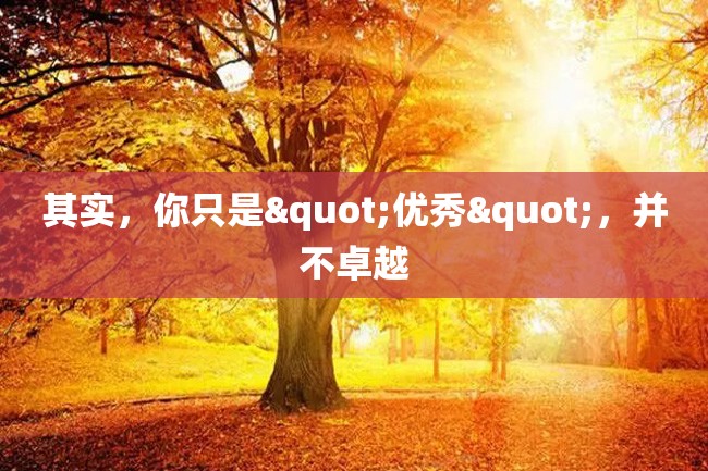 其实,你只是"优秀",并不卓越