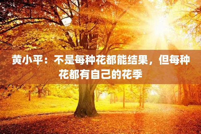 黄小平:不是每种花都能结果,但每种花都有自己的花季