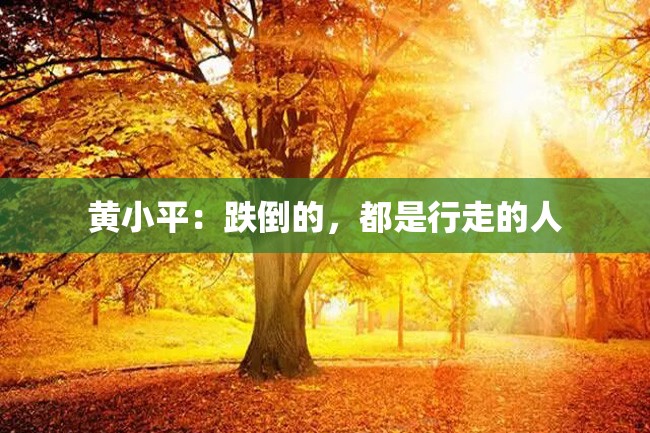 黄小平:跌倒的,都是行走的人