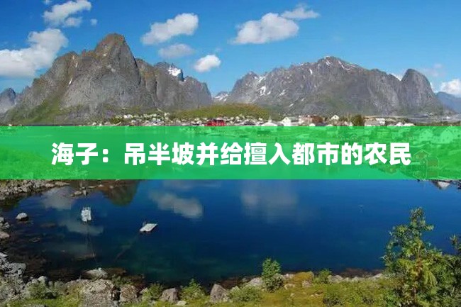 海子:吊半坡并给擅入都市的农民
