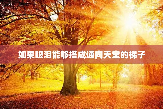 如果眼泪能够搭成通向天堂的梯子