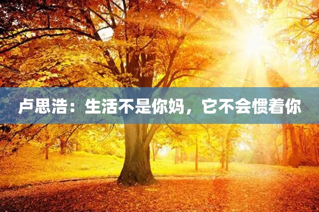卢思浩:生活不是你妈,它不会惯着你
