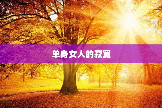 单身女人的寂寞